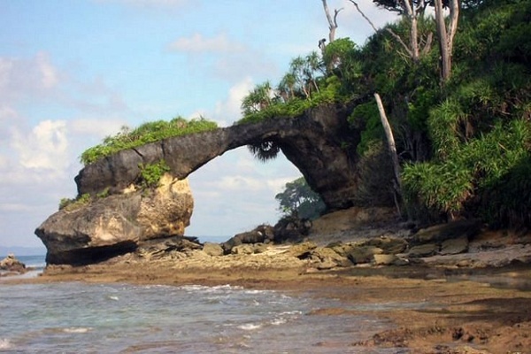 Andaman tour packages from surat