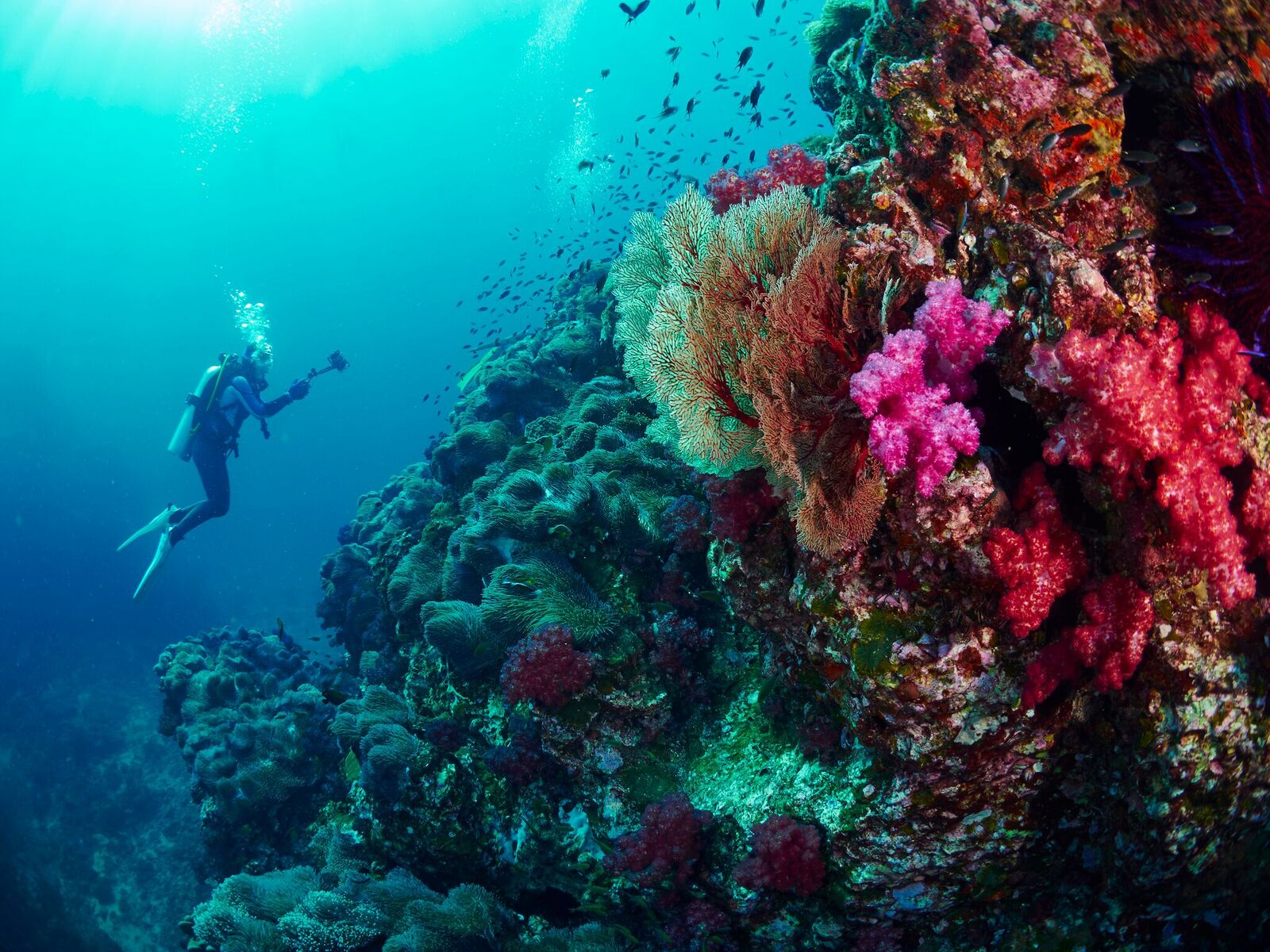 diving-andaman