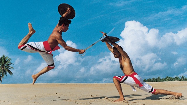 kalaripayattu