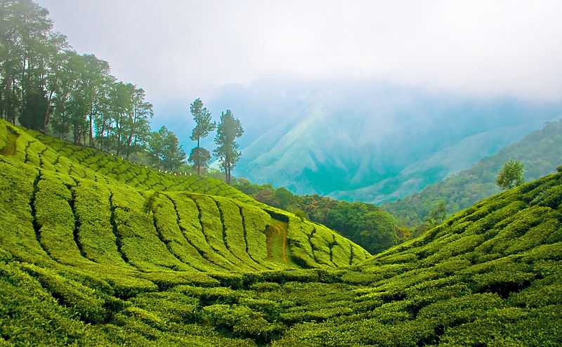 kerala tour package