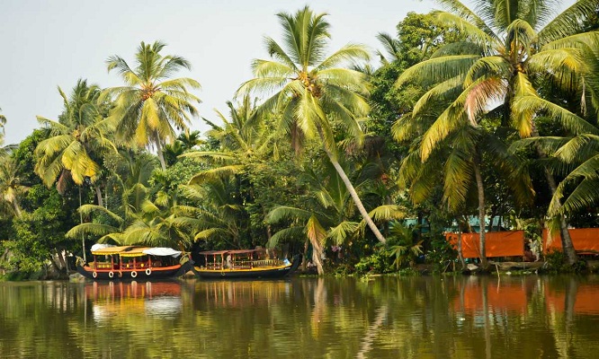 Kerala honeymoon packages from delhi