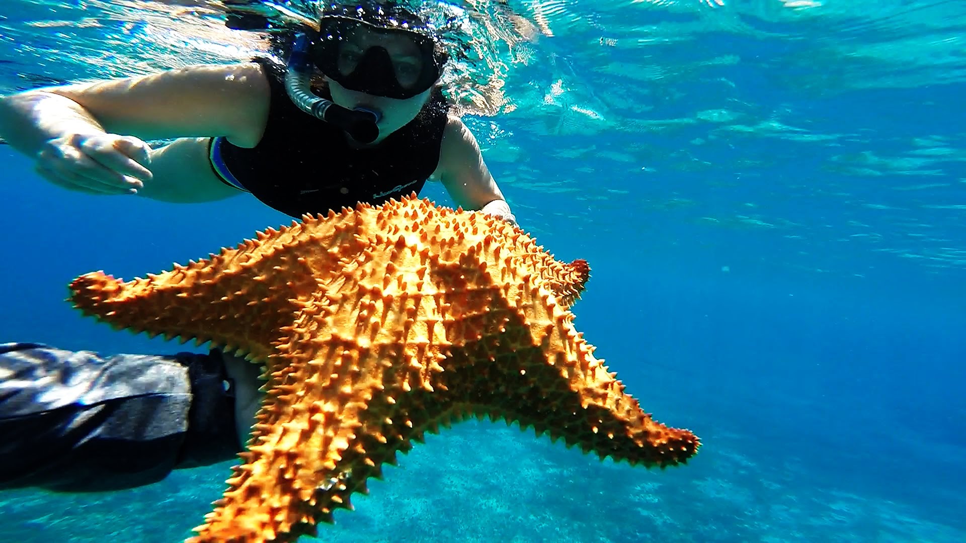 snorkeling