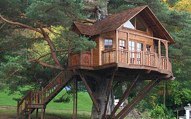 tree-house