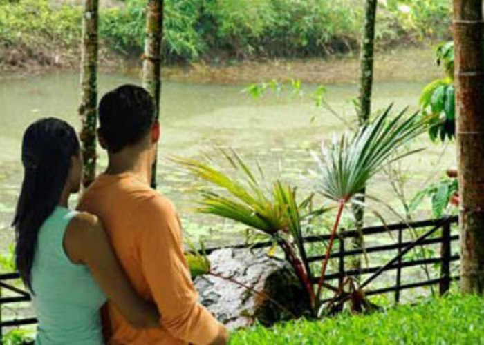 valentine-day-package tourism in Kerala